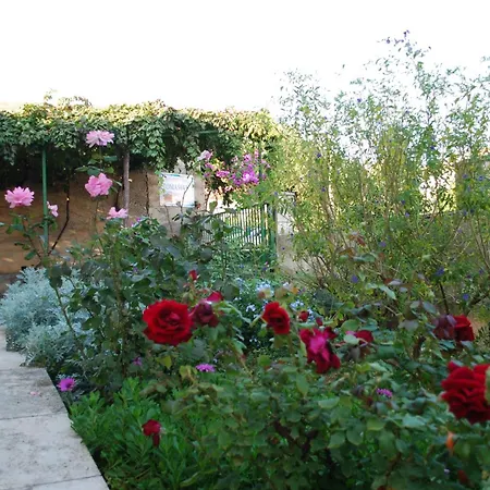 By The Sea Orebic, Peljesac - 10104 * Orebić