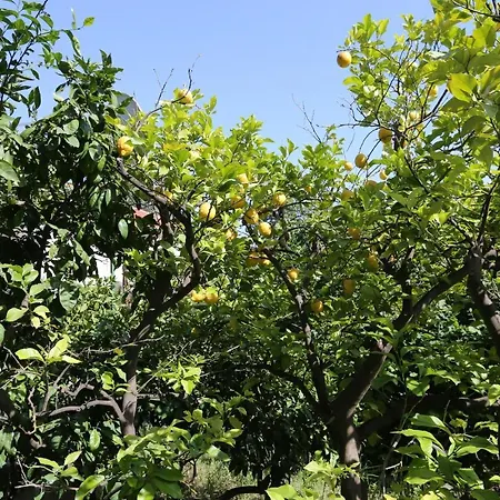 By The Sea Orebic, Peljesac - 10104 * 오레비츠