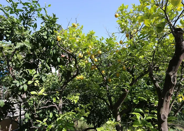 By The Sea Orebic, Peljesac - 10104 * 奥瑞比克